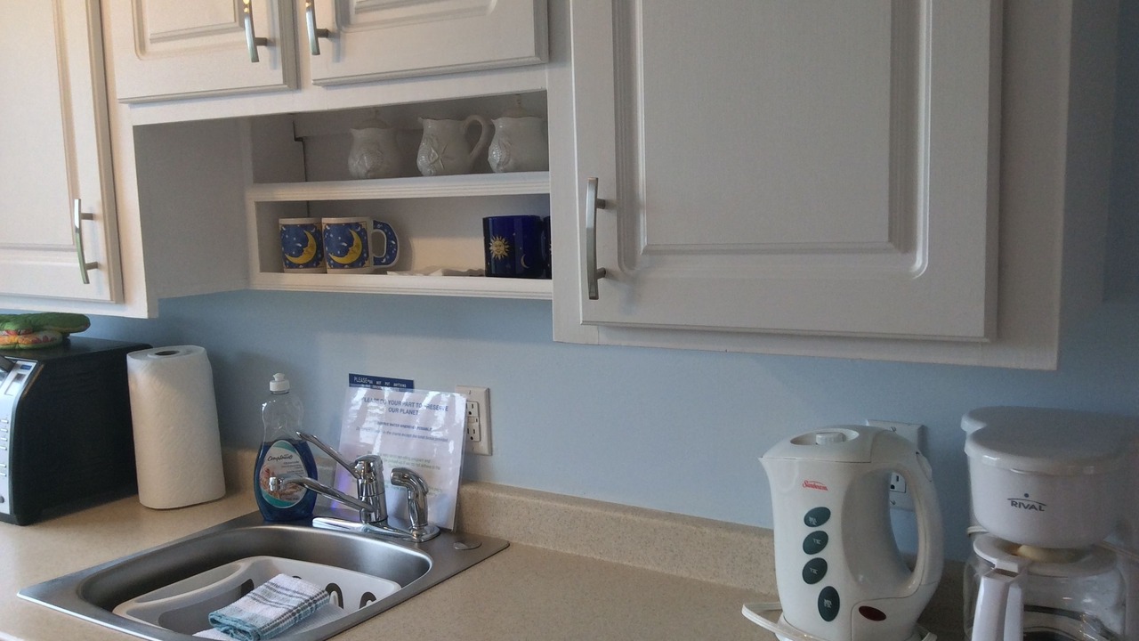 Photo of Outdoor in East Lawrencetown