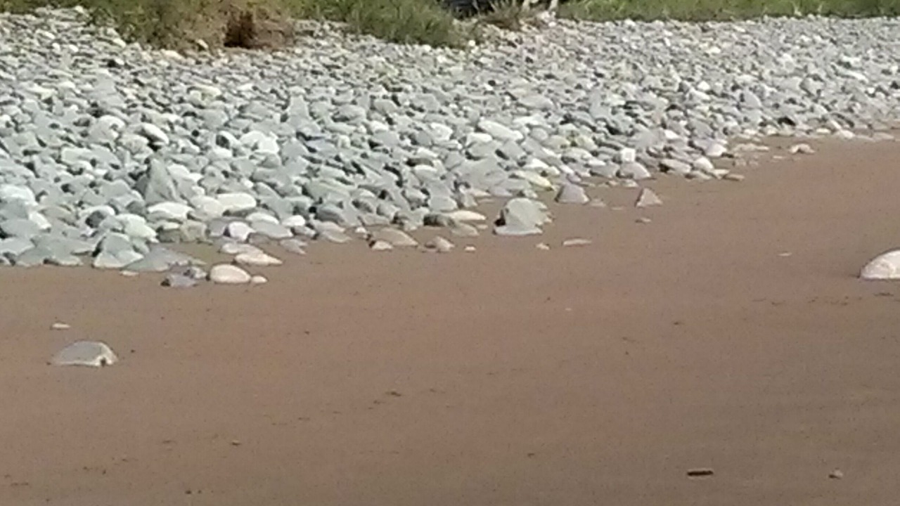 Photo of Outdoor in East Lawrencetown