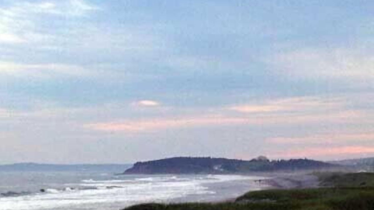 Photo of Others in East Lawrencetown