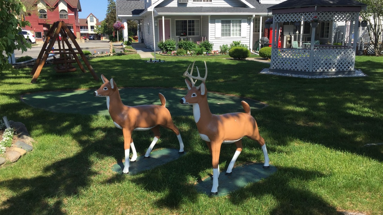 Photo of Outdoor in Mackinaw City
