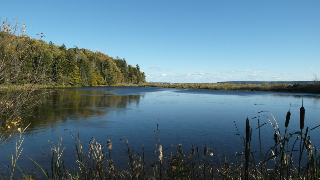 Photo of Outdoor in Lunenburg