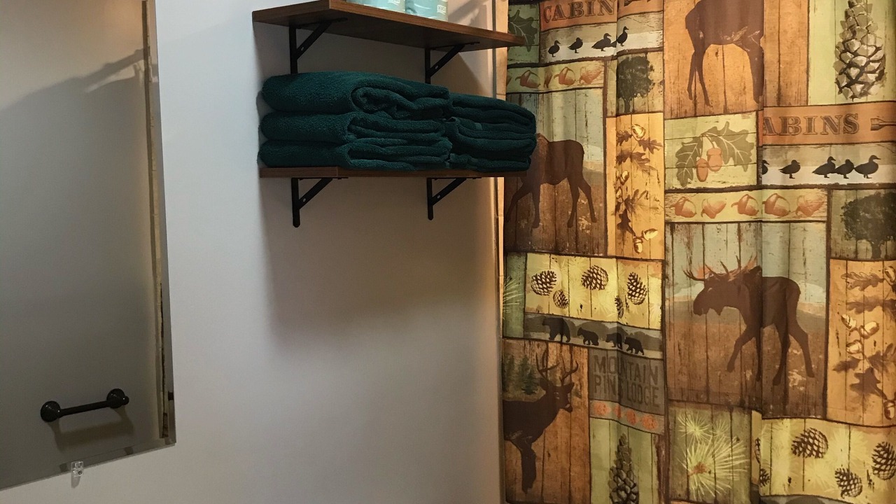 Photo of Livingroom in Lake George