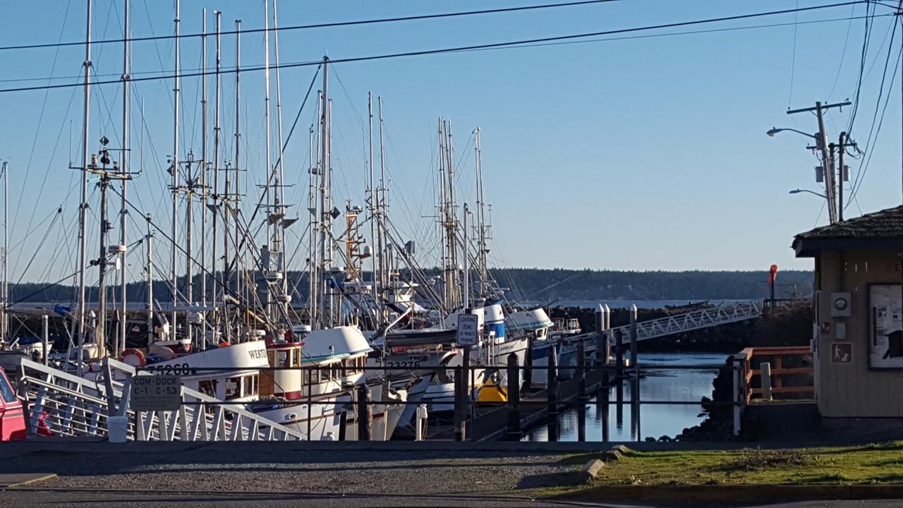 Photo of Others in Port Townsend