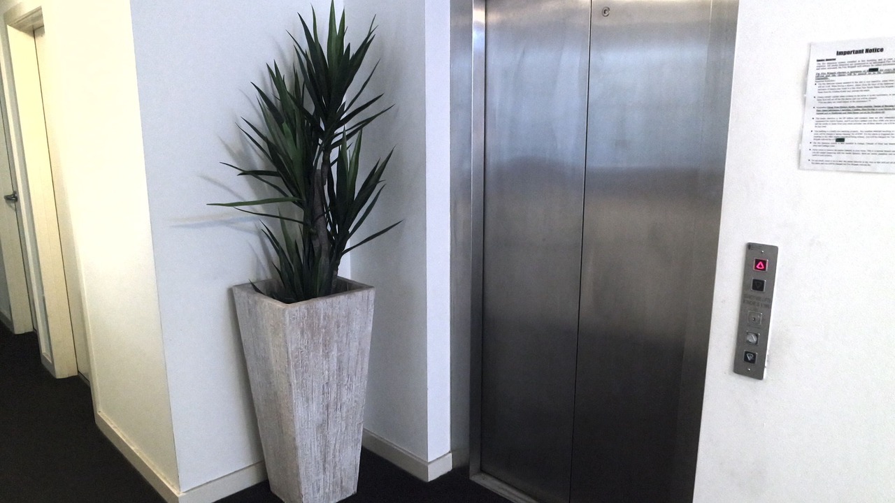 Photo of Others in Leichhardt