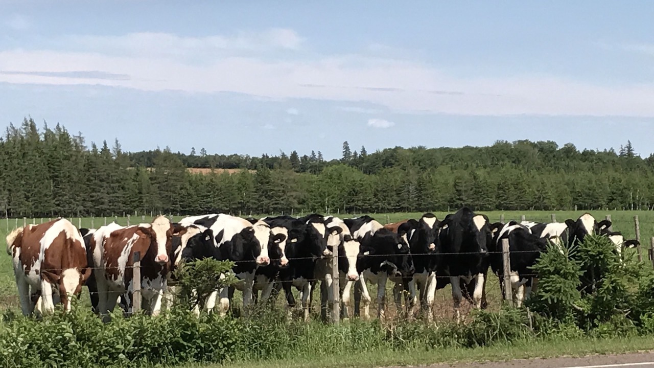 Photo of Outdoor in Miltonvale Park