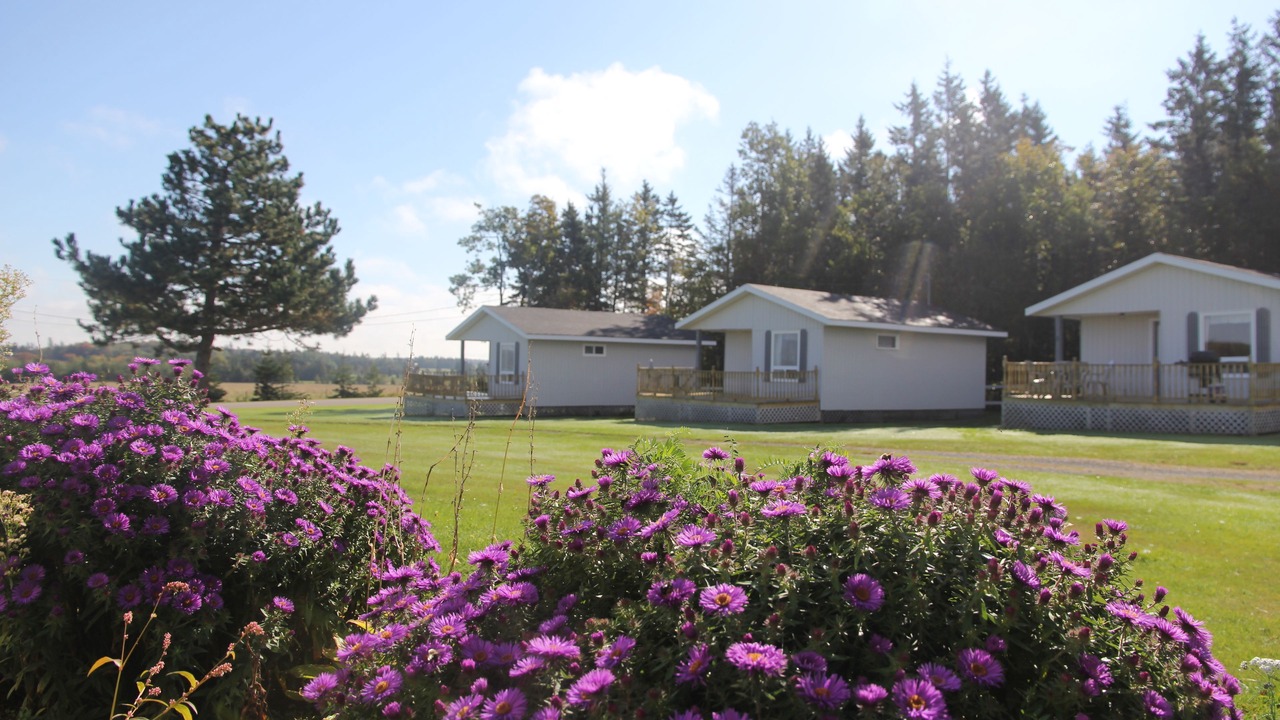 Photo of Outdoor in Miltonvale Park
