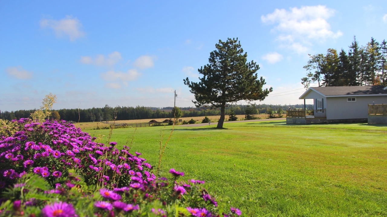 Photo of Outdoor in Miltonvale Park