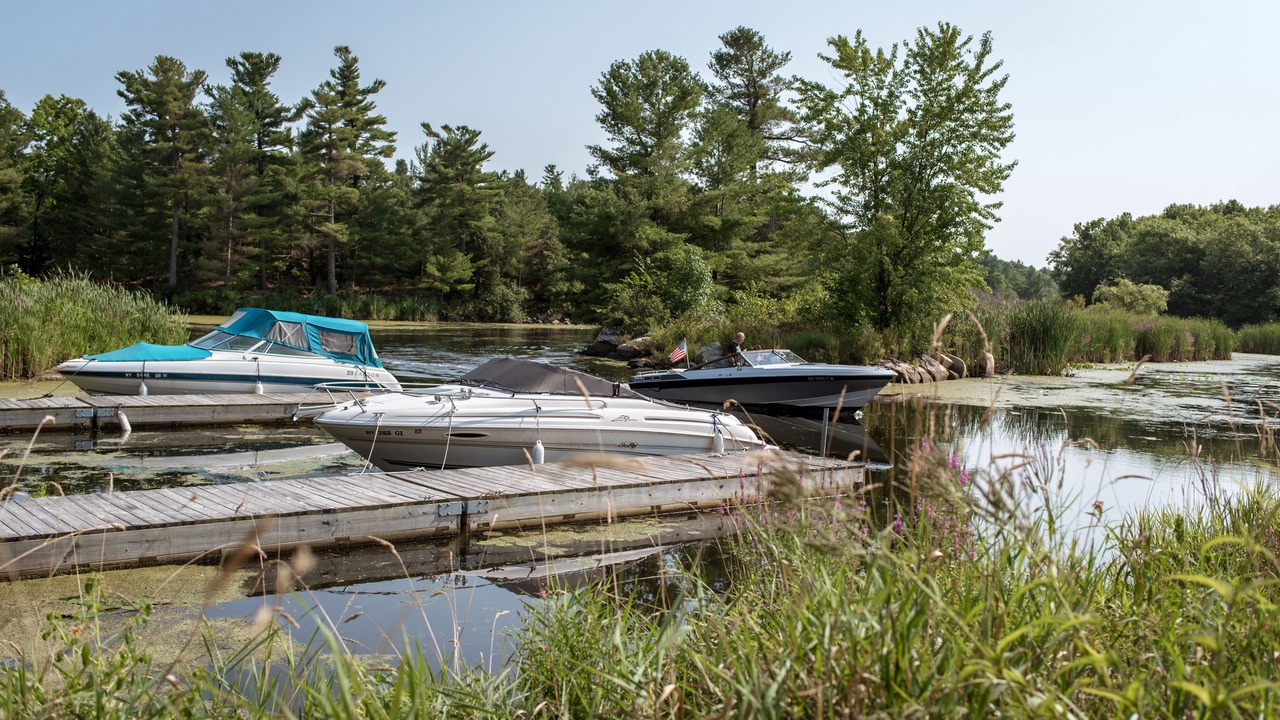Photo of Others in Alexandria Bay