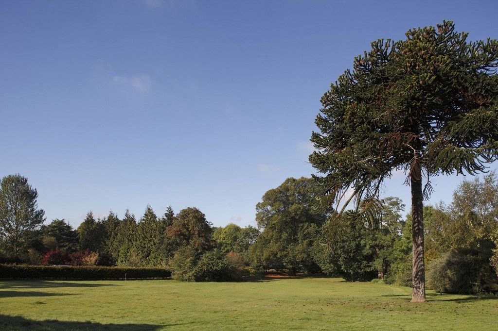 Photo of Outdoor in Lillington