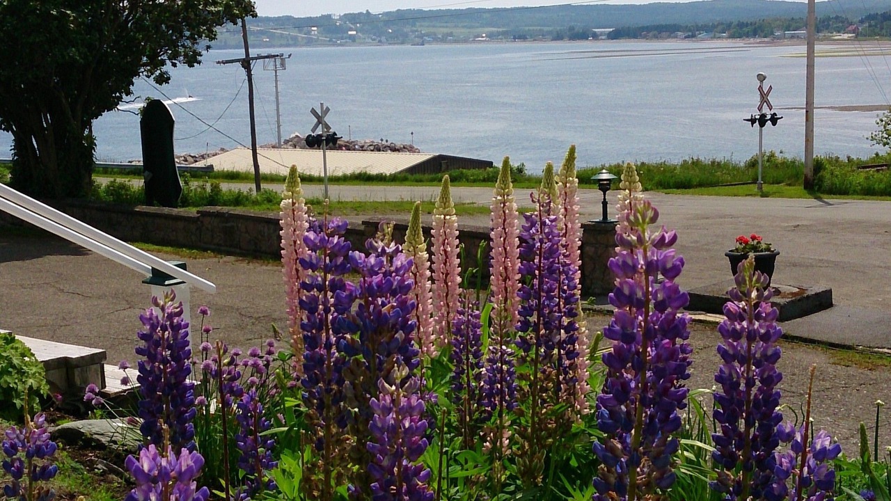 Photo of Outdoor in Port-Daniel