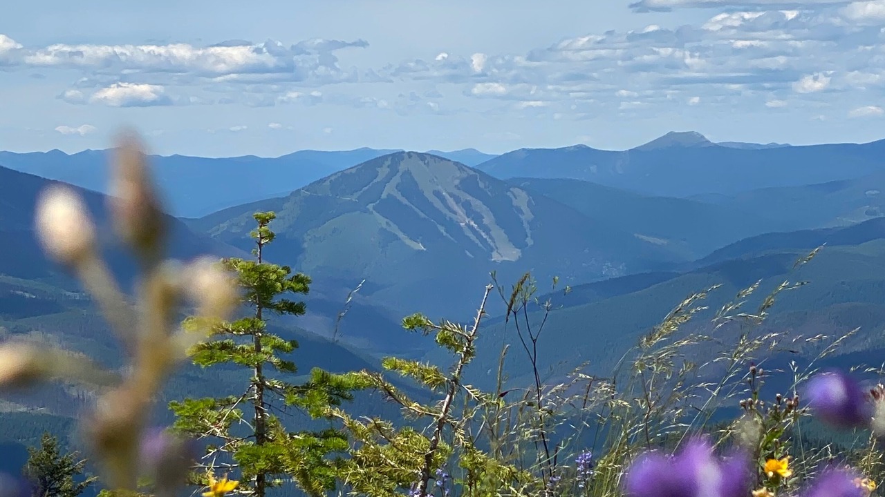 Photo of Outdoor in Libby