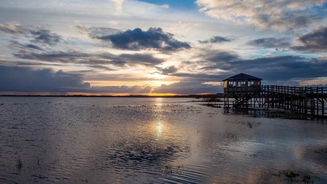 Photo of Others in Skjern