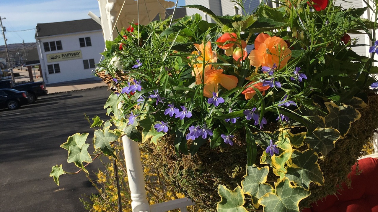 Photo of Outdoor in Digby