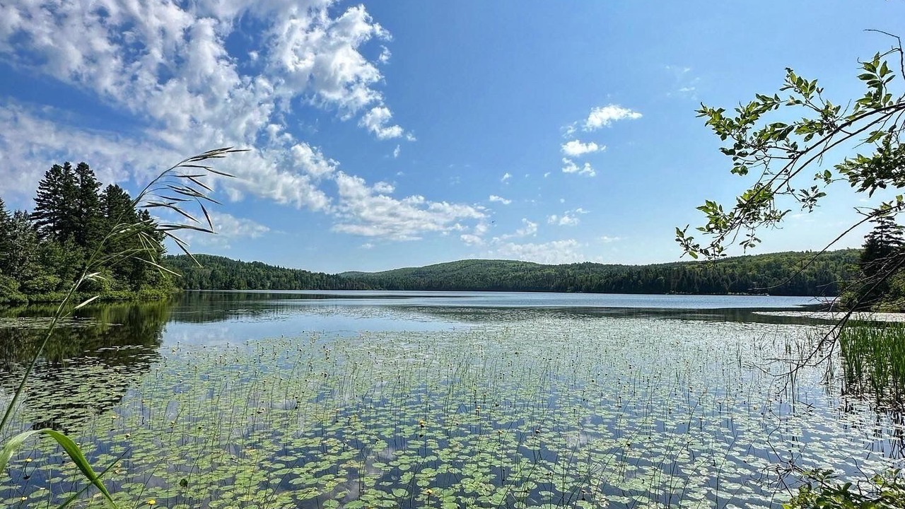 Photo of Outdoor in Sayabec