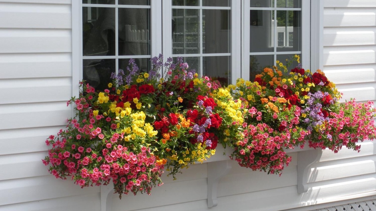 Photo of Outdoor in Grand Falls