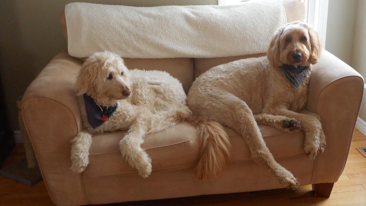 Photo of Others in Grand Falls