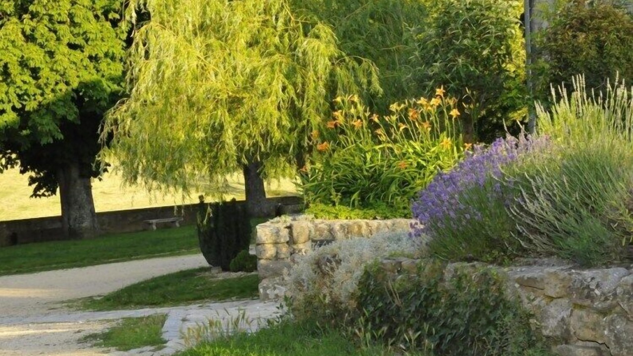 Photo of Outdoor in Pommare