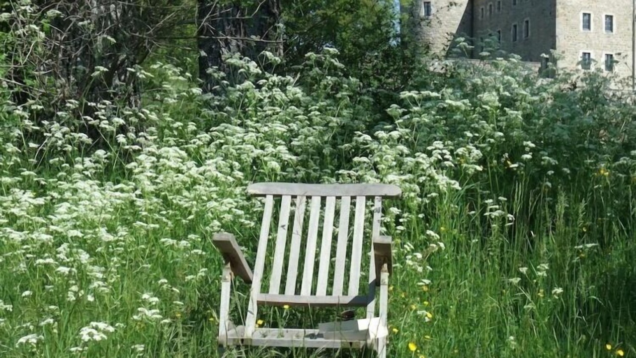 Photo of Outdoor in Pommare