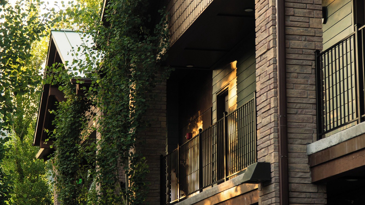 Photo of Outdoor in Jackson Hole