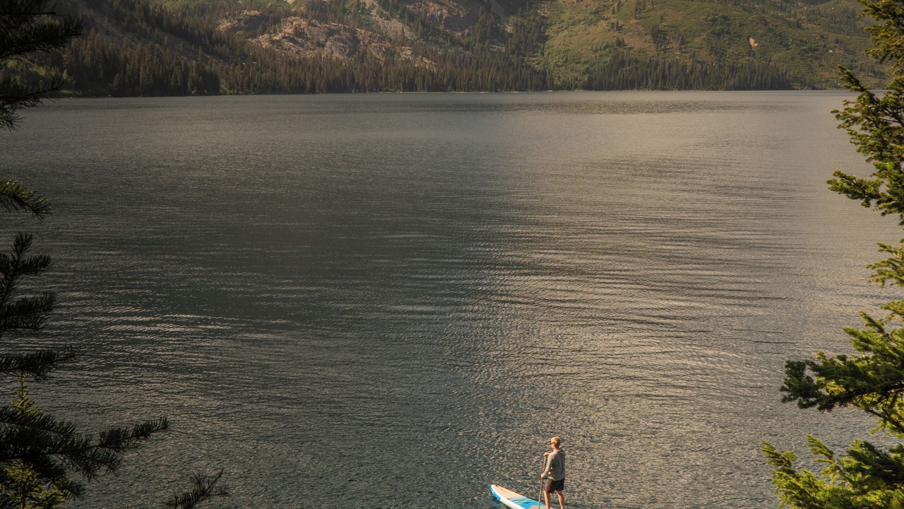 Photo of Others in Jackson Hole