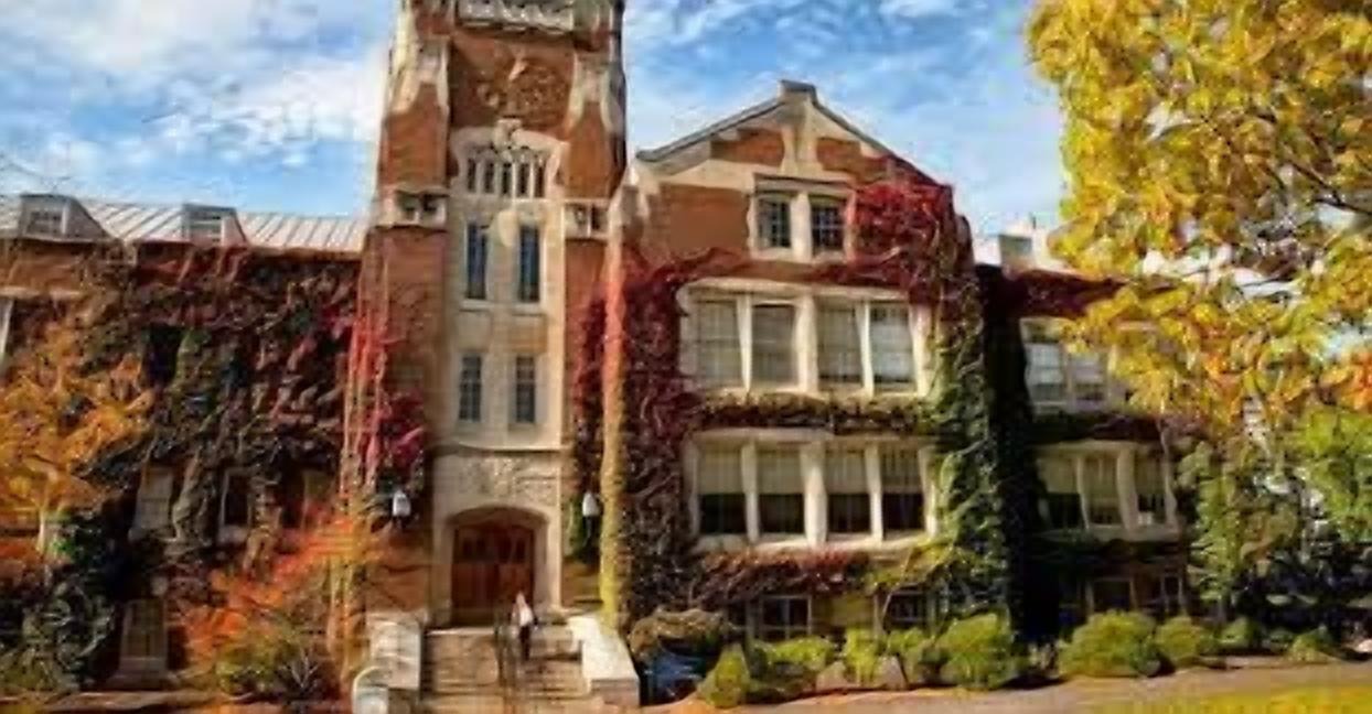 Photo of Others in Geneseo