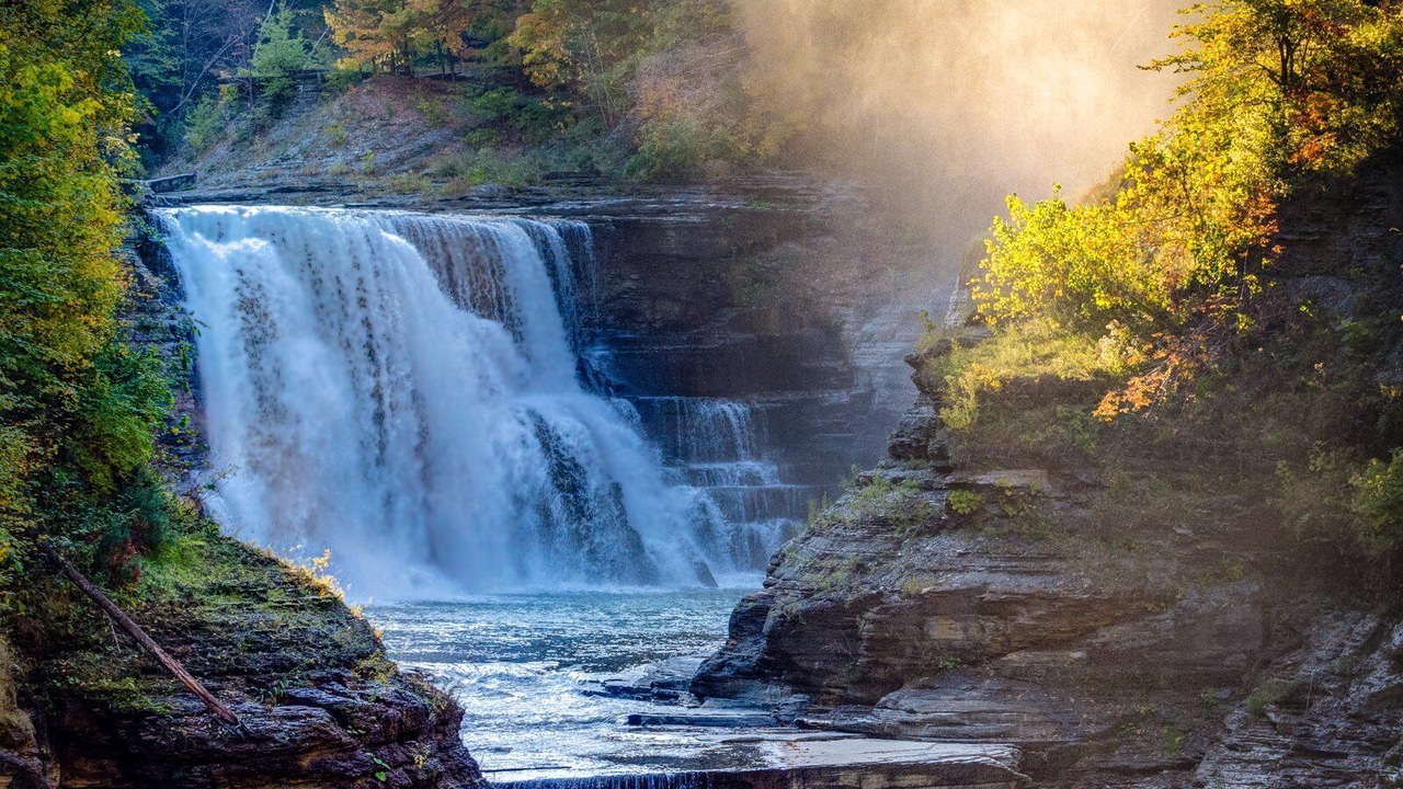 Photo of Others in Geneseo