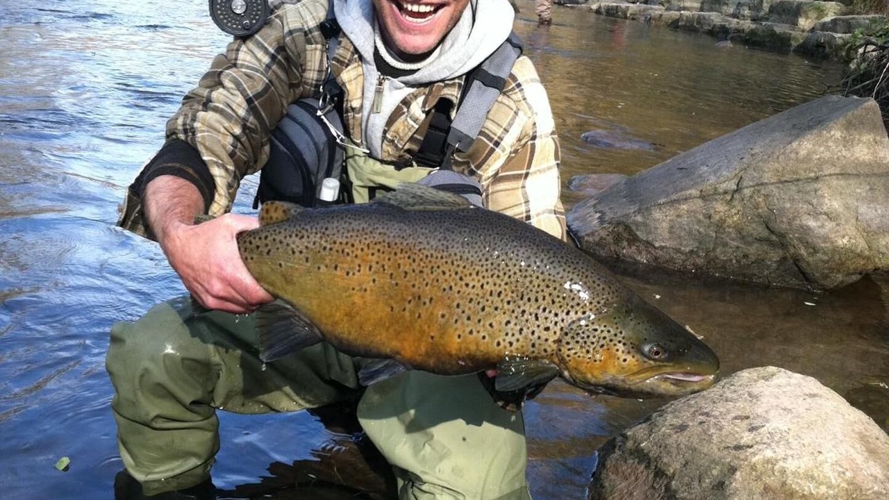 Photo of Outdoor in Westfield