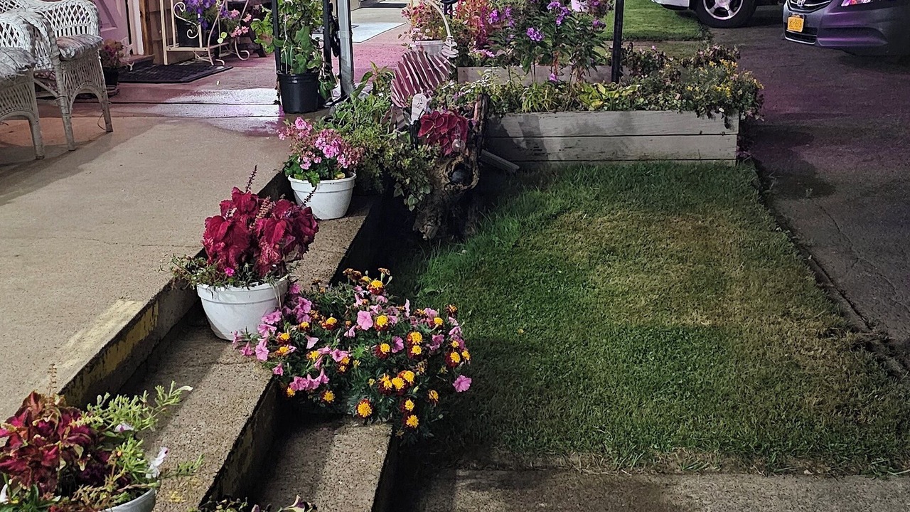 Photo of Outdoor in Westfield