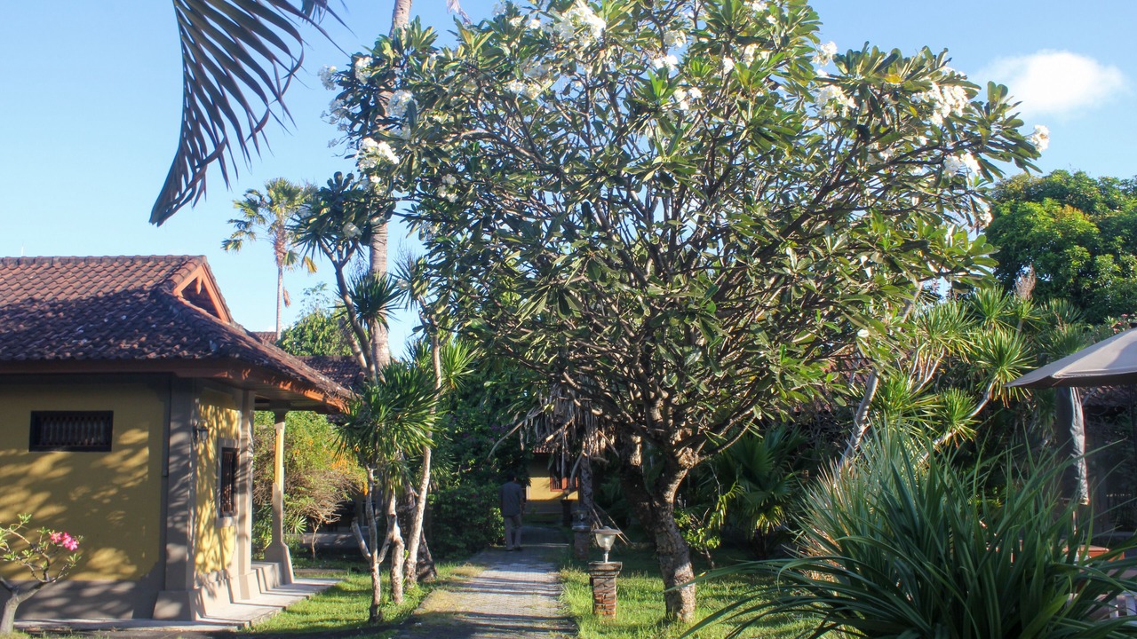 Photo of Outdoor in Downtown Kuta