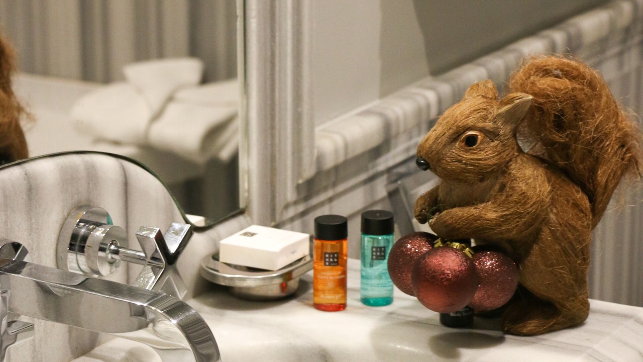 Photo of Bathroom in Faubourg-du-Roule
