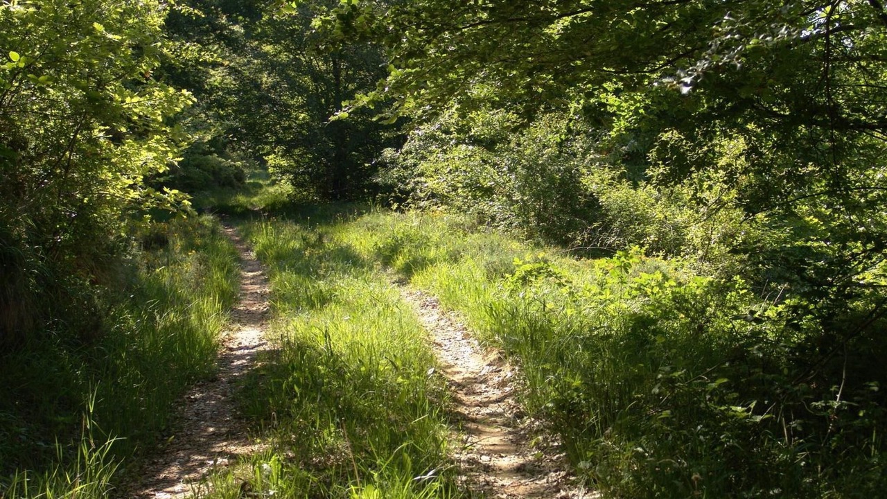Photo of Outdoor in Valle de Manzanedo
