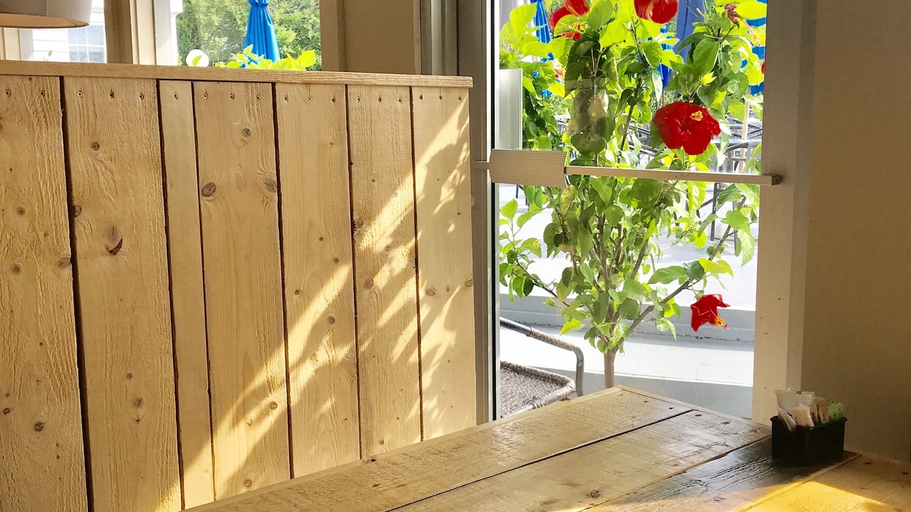 Photo of Others in North Truro