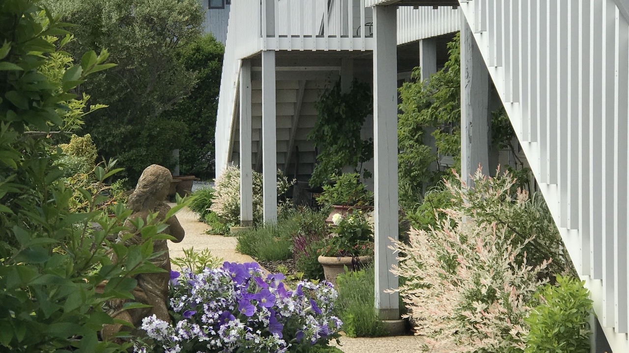 Photo of Outdoor in North Truro
