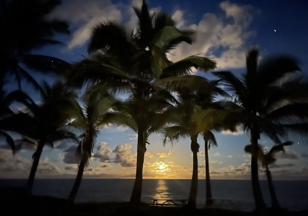 Photo of Others in Keaau