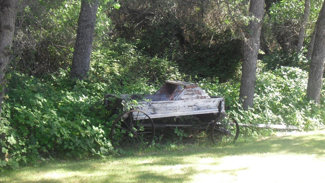 Photo of Outdoor in Kelseyville