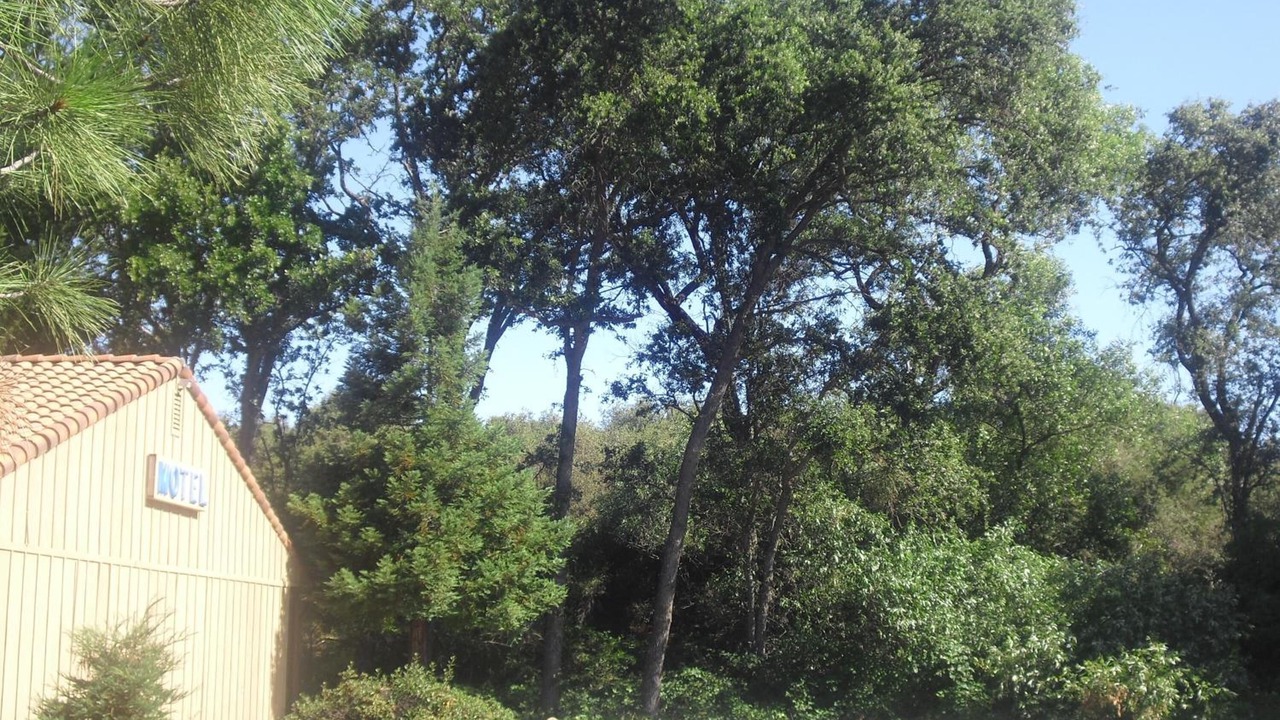 Photo of Outdoor in Kelseyville