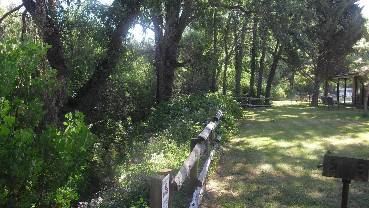 Photo of Outdoor in Kelseyville
