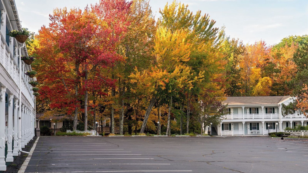 Photo of Outdoor in Camden