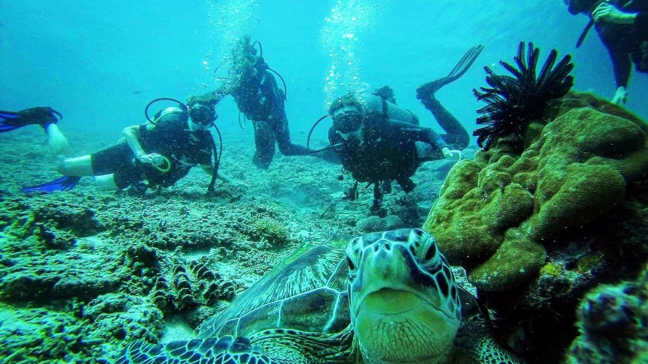 Photo of Others in Tanjung