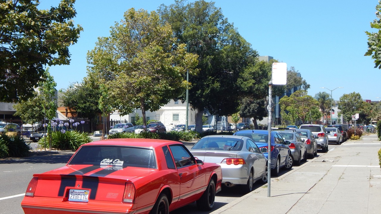 Photo of Others in Mosswood