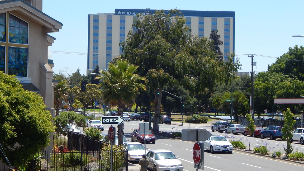 Photo of Others in Mosswood