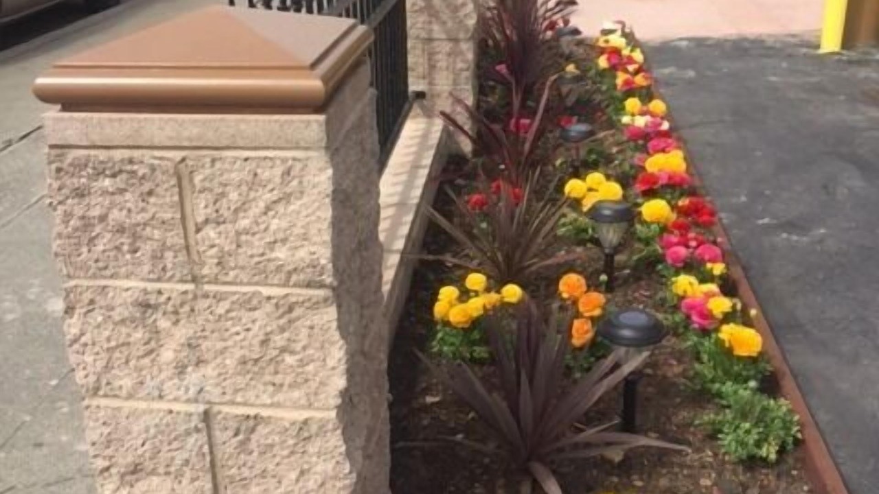 Photo of Outdoor in Mosswood