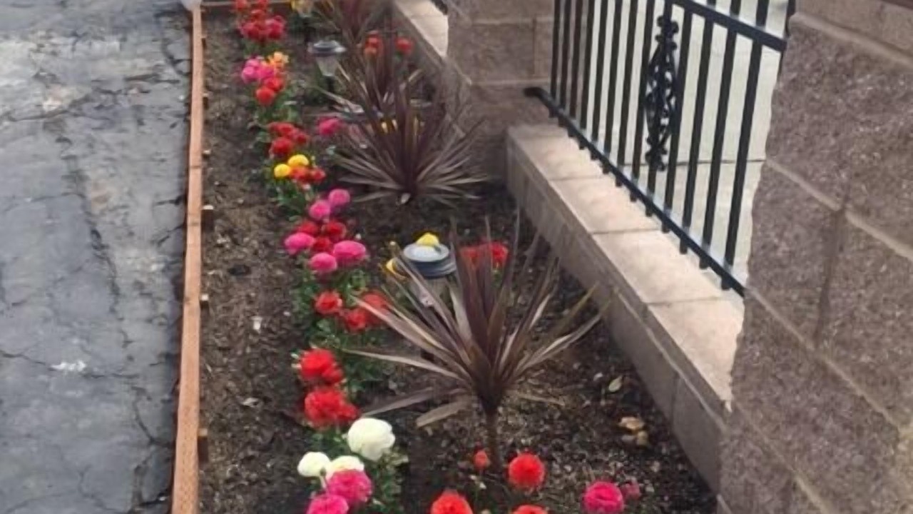 Photo of Outdoor in Mosswood