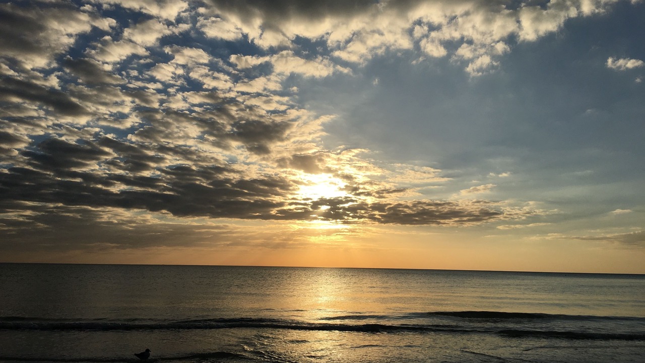 Photo of Others in Sunset Beach