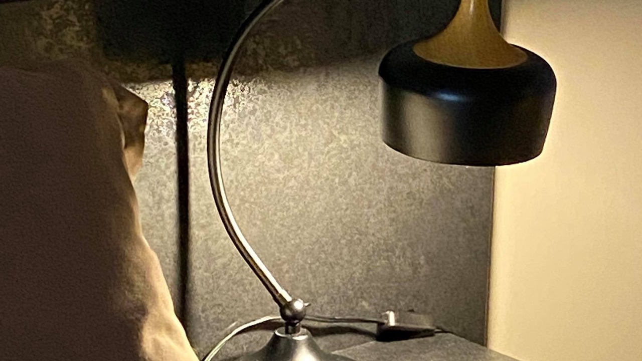 Photo of Others in La Pocatiere