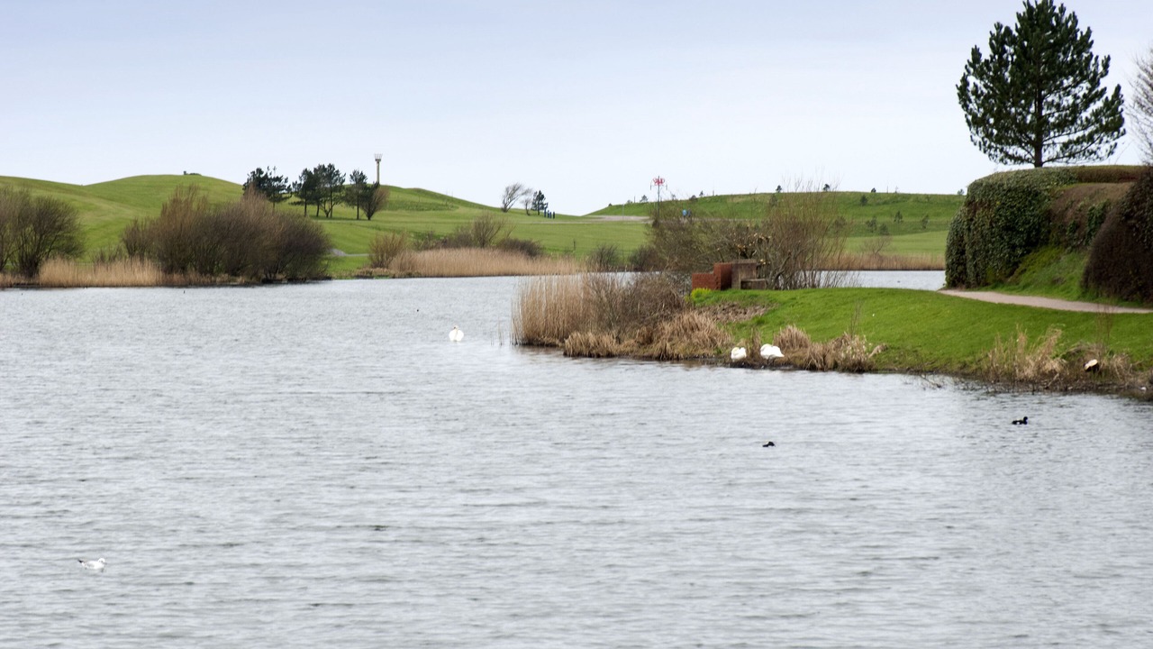 Photo of Others in Llanelli