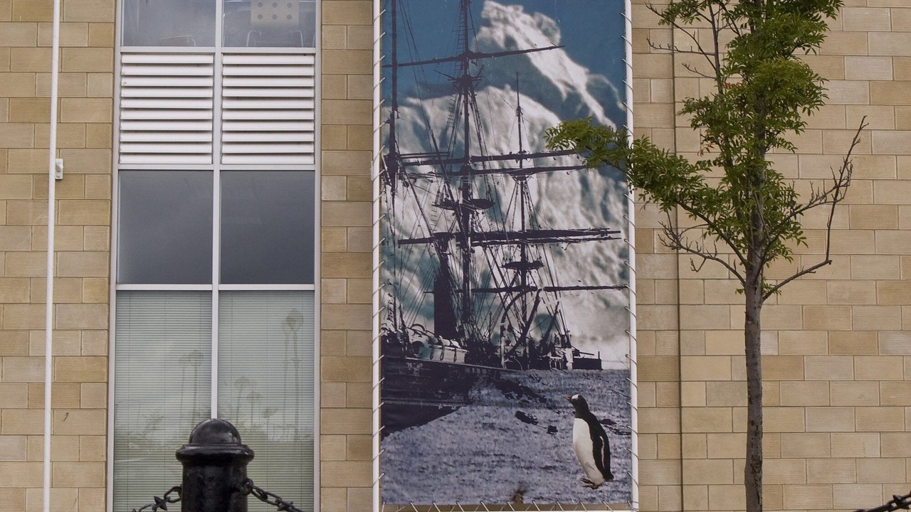 Photo of Others in Dundee