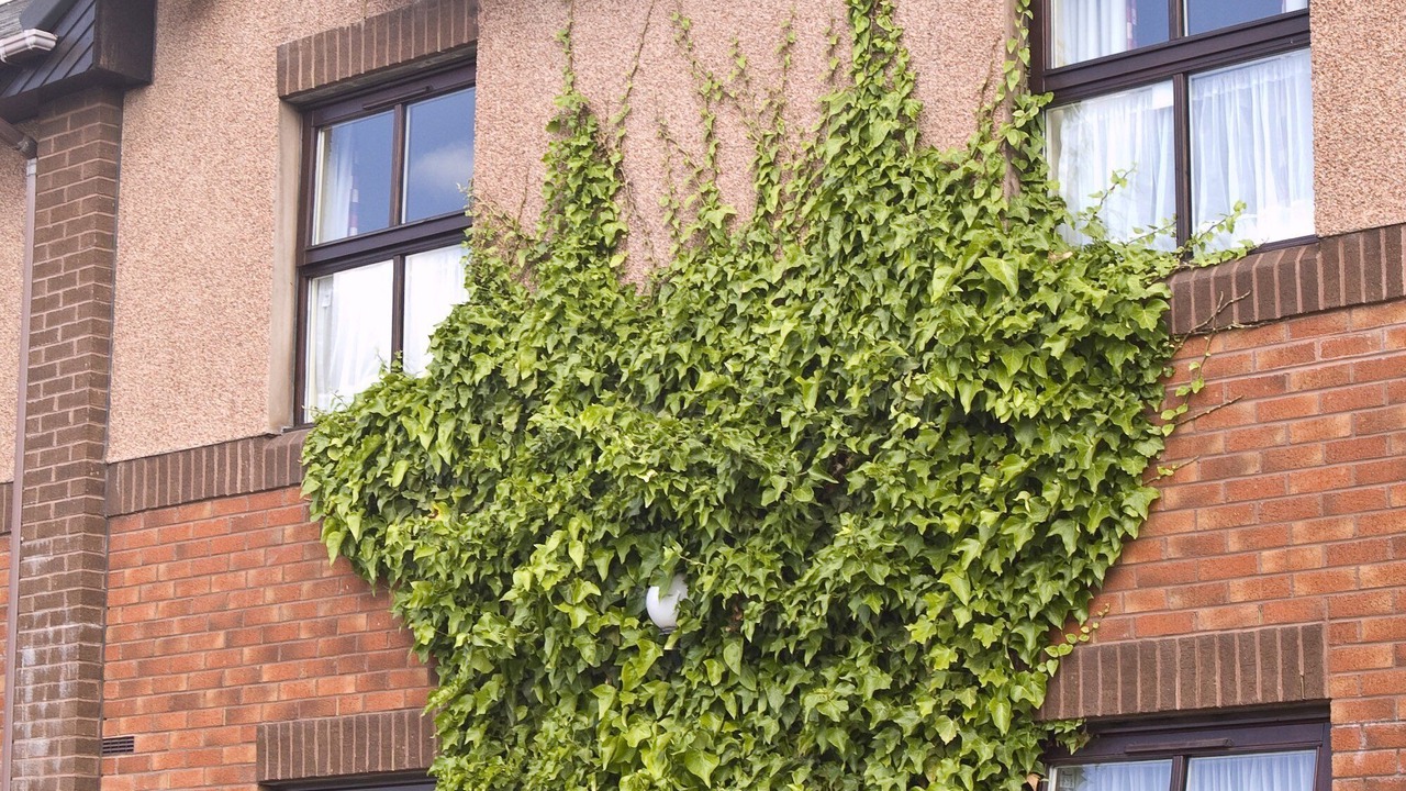 Photo of Outdoor in Murthill