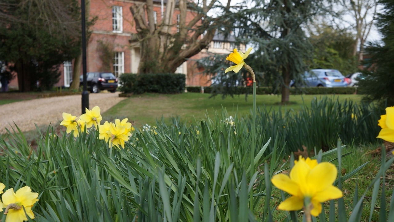 Photo of Outdoor in Wem