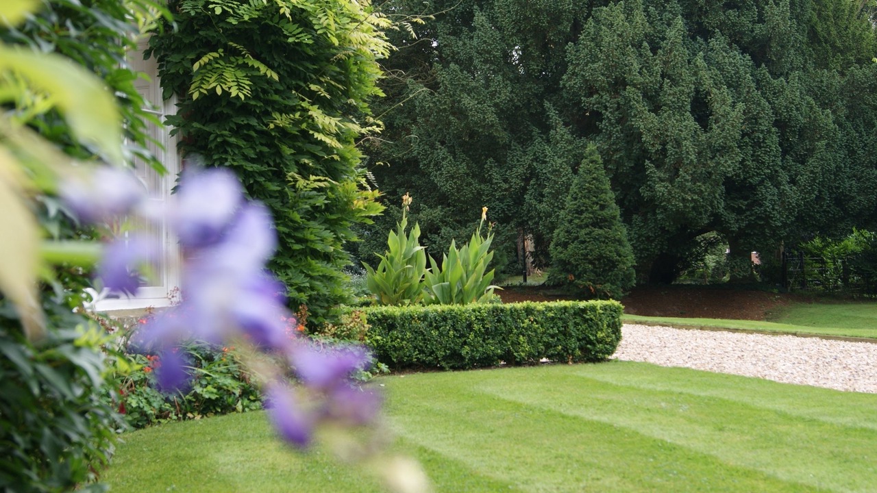 Photo of Outdoor in Wem